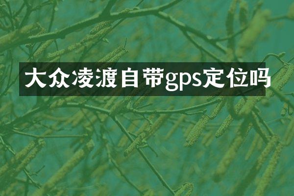 大众凌渡自带gps定位吗