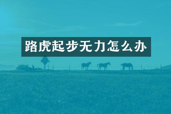 路虎起步无力怎么办