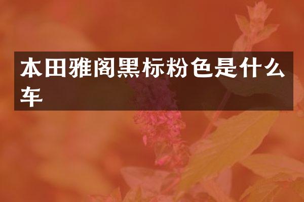 本田雅阁黑标粉色是什么车