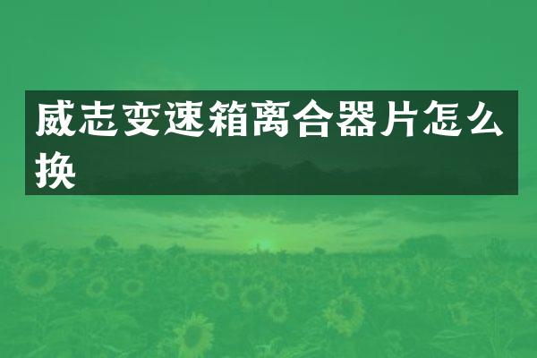 威志变速箱离合器片怎么换