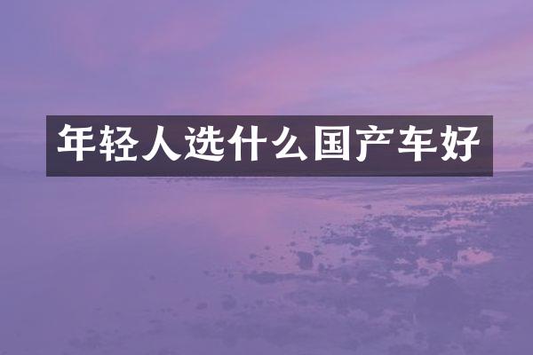 年轻人选什么国产车好
