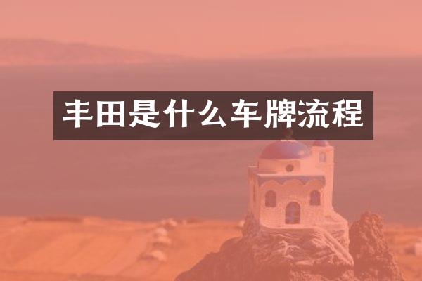 丰田是什么车牌流程