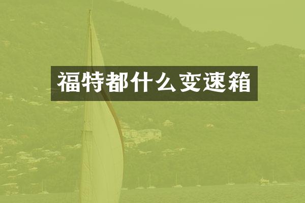 福特都什么变速箱
