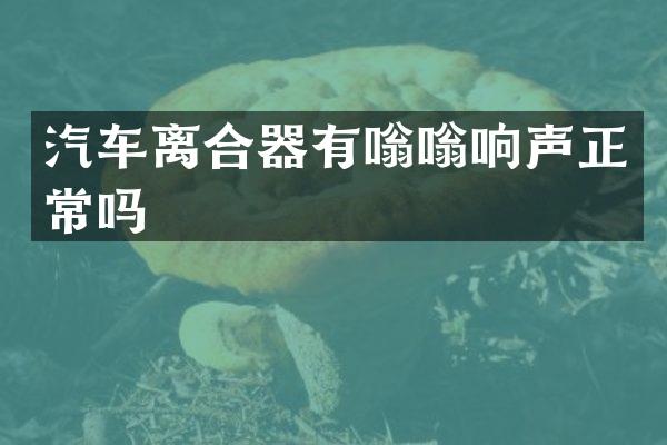 汽车离合器有嗡嗡响声正常吗
