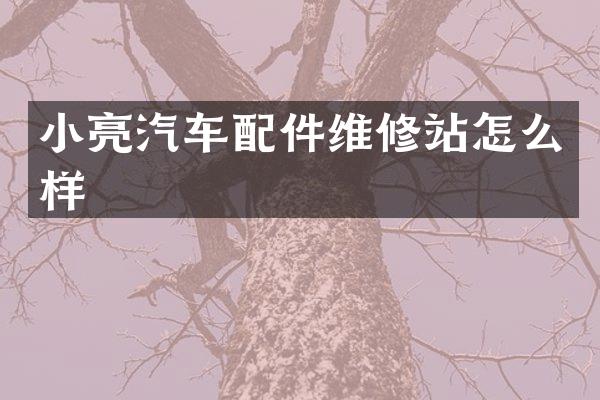 小亮汽车配件维修站怎么样