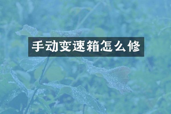 手动变速箱怎么修