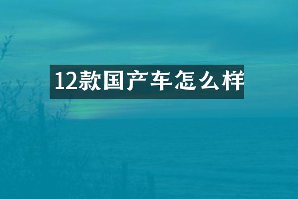 12款国产车怎么样