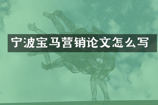 宁波宝马营销论文怎么写