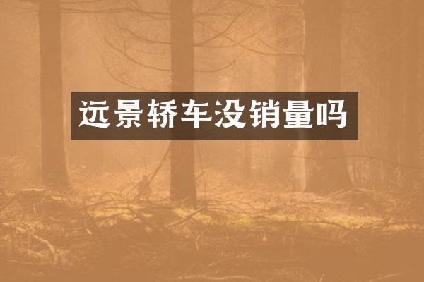 远景轿车没销量吗