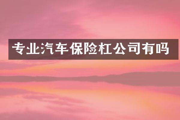 专业汽车保险杠公司有吗