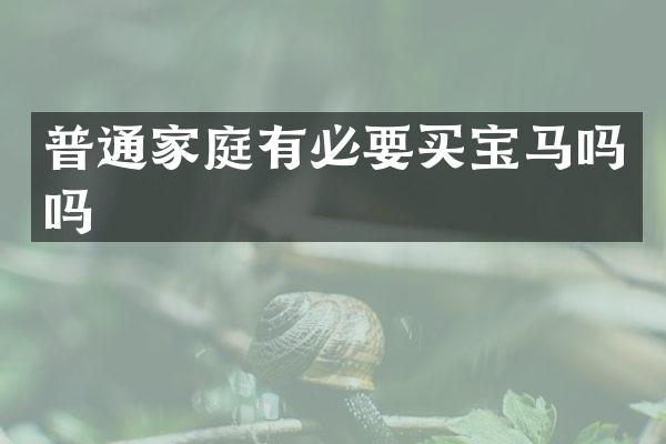 普通家庭有必要买宝马吗吗
