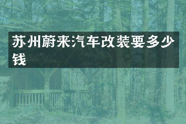 苏州蔚来汽车改装要多少钱
