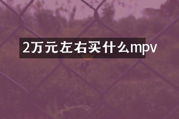 2万元左右买什么mpv