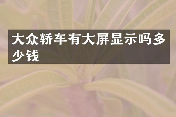 大众轿车有大屏显示吗多少钱