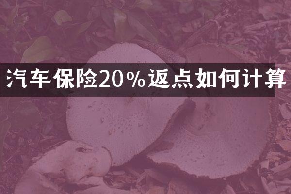 汽车保险20%返点如何计算
