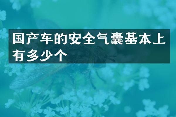 国产车的安全气囊基本上有多少个