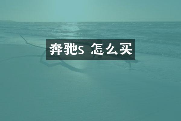 奔驰s 怎么买