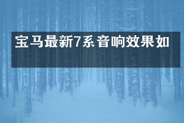 宝马最新7系音响效果如何