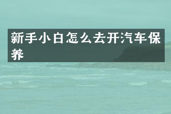 新手小白怎么去开汽车保养