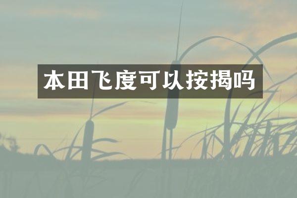 本田飞度可以按揭吗
