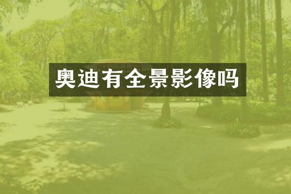 奥迪有全景影像吗