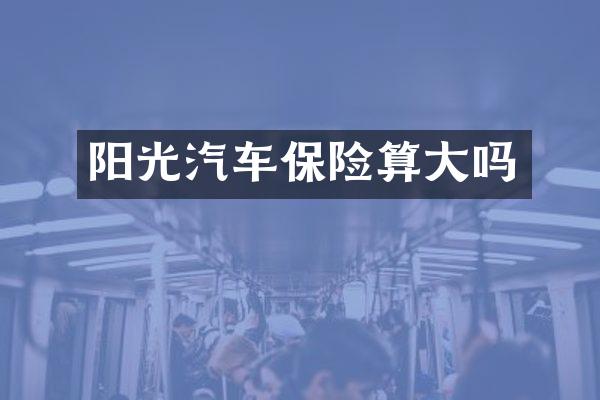 阳光汽车保险算大吗