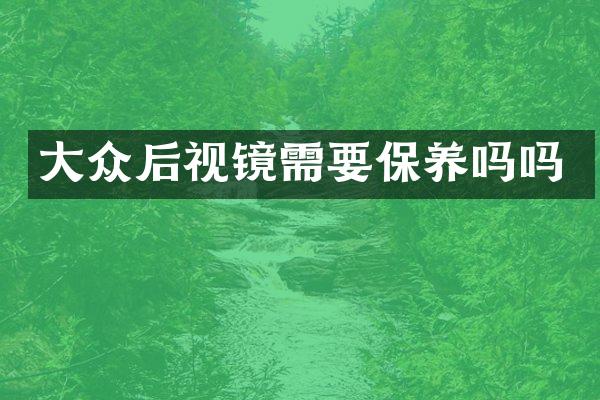 大众后视镜需要保养吗吗