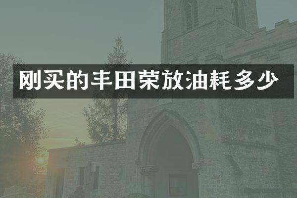 刚买的丰田荣放油耗多少