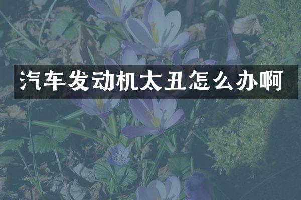 汽车发动机太丑怎么办啊