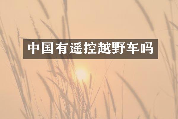 中国有遥控越野车吗