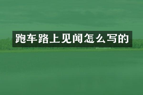 跑车路上见闻怎么写的
