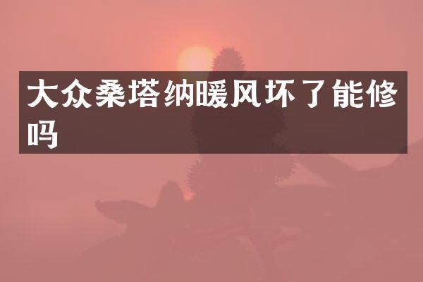 大众桑塔纳暖风坏了能修吗