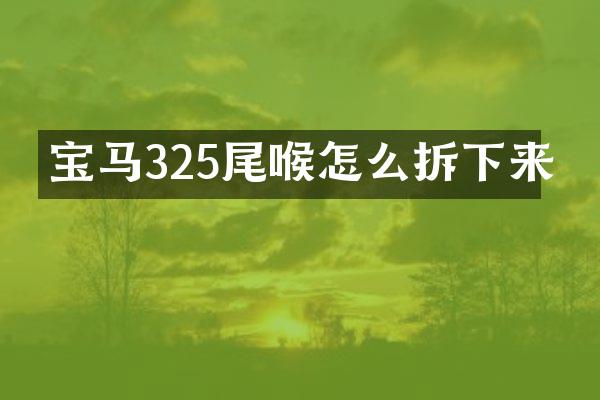 宝马325尾喉怎么拆下来
