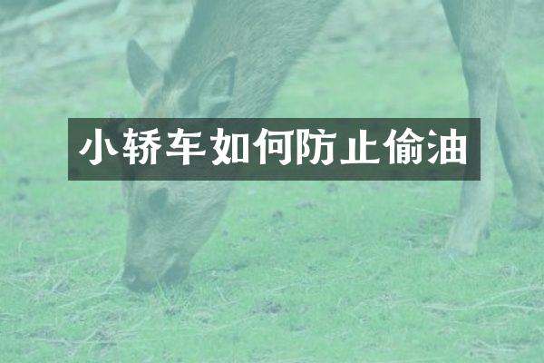 小轿车如何防止偷油