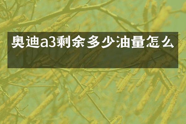 奥迪a3剩余多少油量怎么看