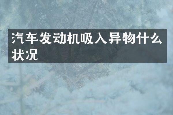 汽车发动机吸入异物什么状况