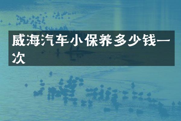 威海汽车小保养多少钱一次