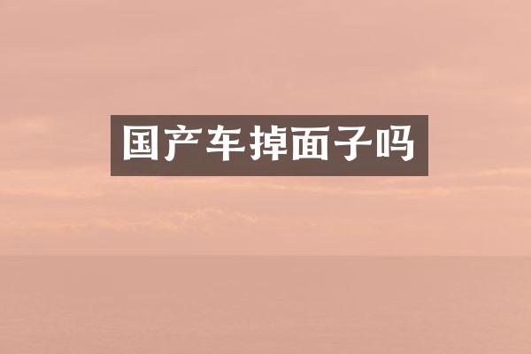 国产车掉面子吗
