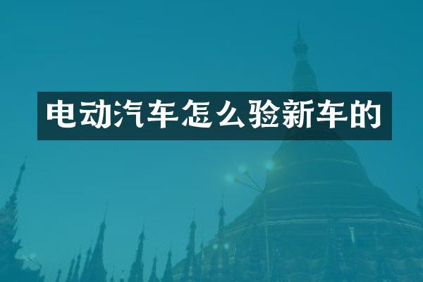 电动汽车怎么验新车的