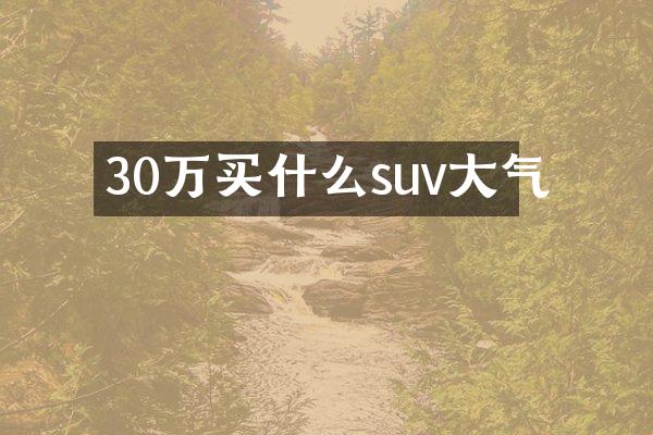 30万买什么suv大气