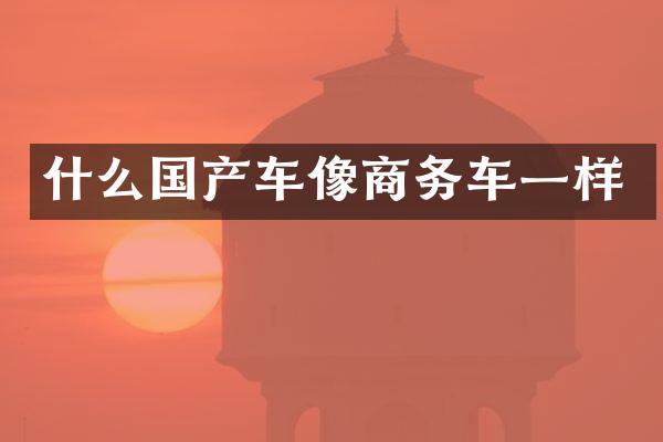 什么国产车像商务车一样