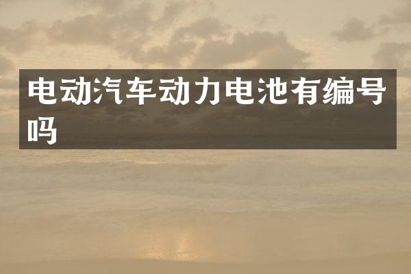 电动汽车动力电池有编号吗