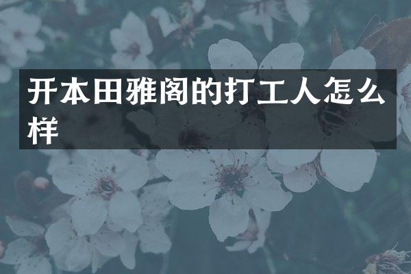 开本田雅阁的打工人怎么样