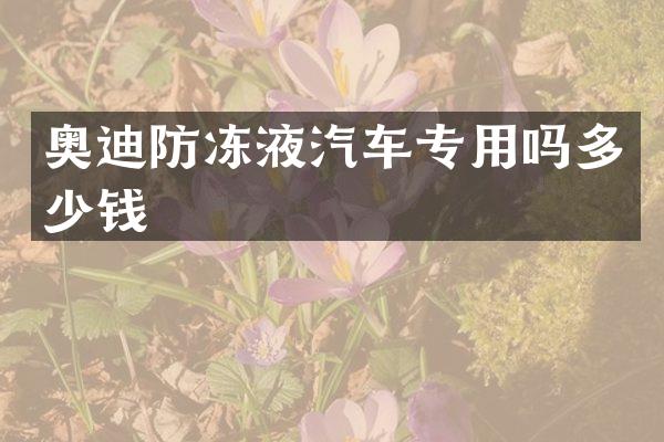 奥迪防冻液汽车专用吗多少钱