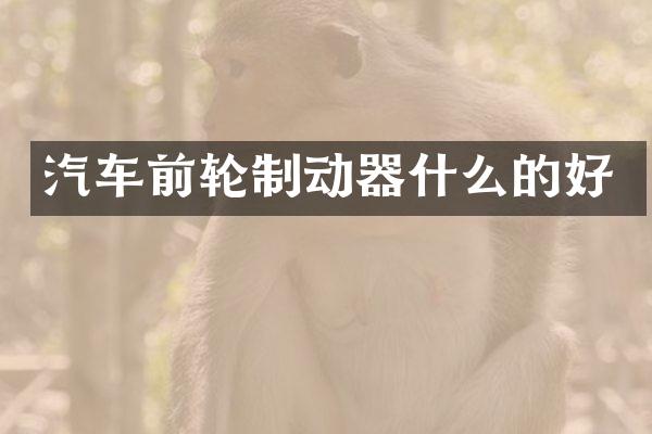 汽车前轮制动器什么的好