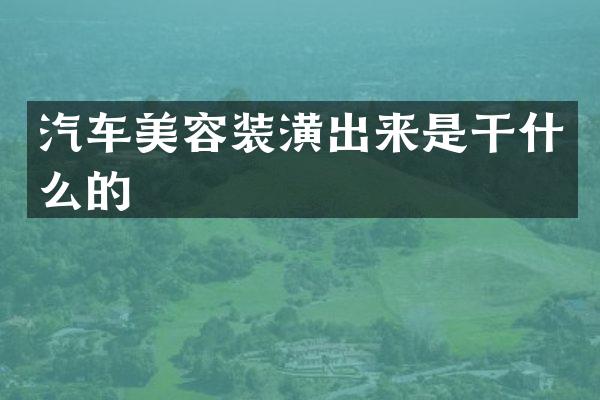 汽车美容装潢出来是干什么的