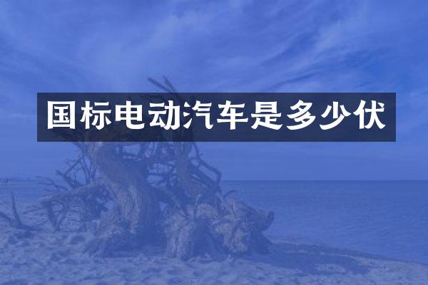 国标电动汽车是多少伏