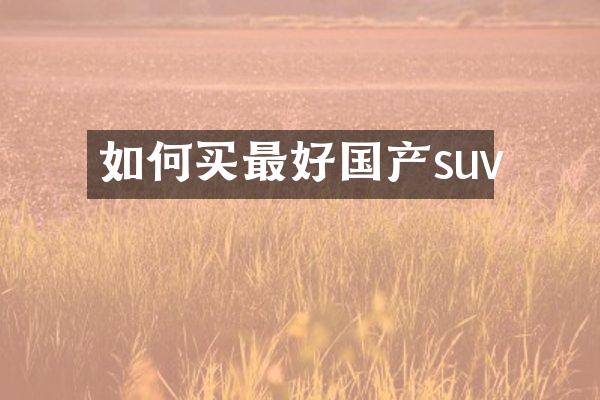 如何买最好国产suv