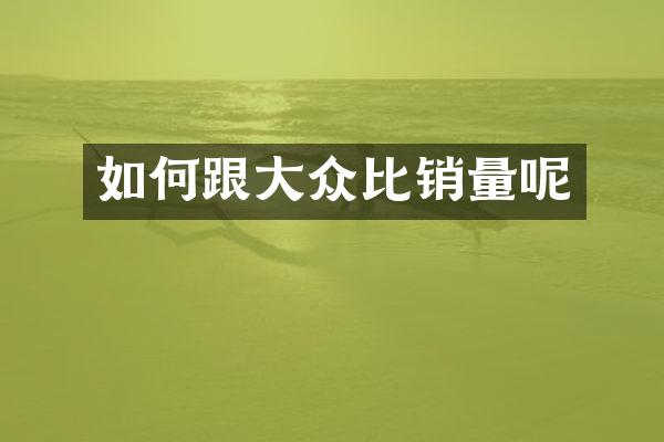 如何跟大众比销量呢