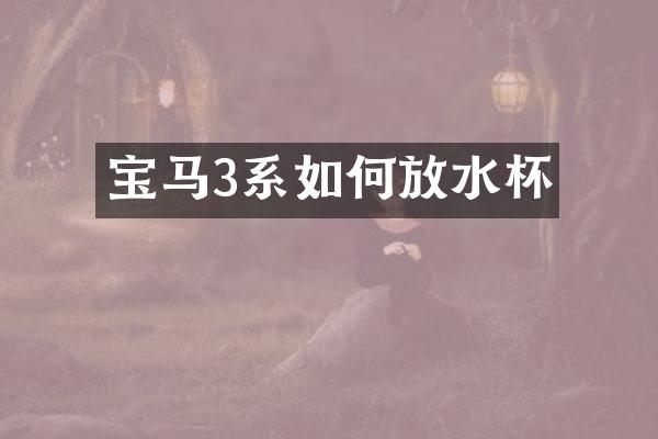 宝马3系如何放水杯